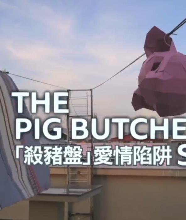 深入柬埔寨「诈骗园」的杀猪盘”产业