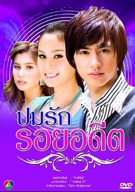 过去的爱情伤痕