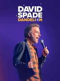 大卫斯佩德蒲公英