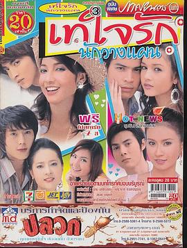 我诡计多端的爱情