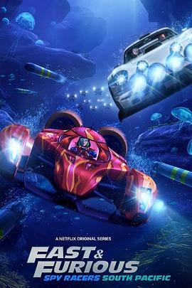 速度与激情特工飞车手第五季