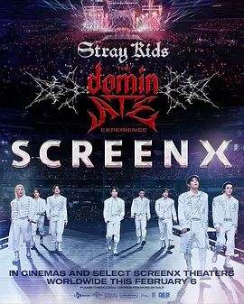 StrayKids主宰一切的体验